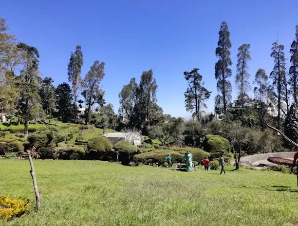 Sarah J. profile picture