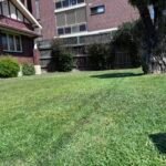 119cc23e4d5362b8e58d44cc8ac0e2c