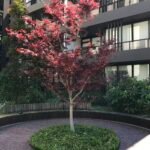 14a2c12be16be15311bc764588845b0