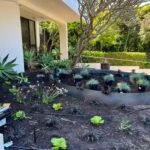 1e5e06e072373b0516e86c7a967990e