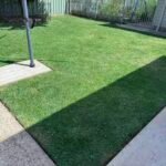 3d5ca813a1993ba02ba2c8bd26aa3fe