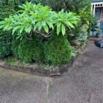 40e8a50ead025ada33070be36e3e42b