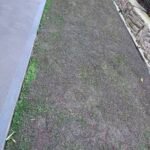 43fcce4196e3dbeb2a9b0e016ec909e