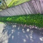 7ba3de5bf26c08f685bc1e1a33231b8