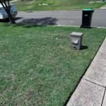 8f4cee6810554d74ab7de3065ed3b68