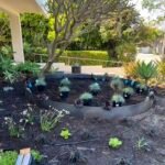 95b52667a7451d3b69a855fd5f87aa7