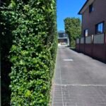 9bcd06896e2ce37e9705e561277963d